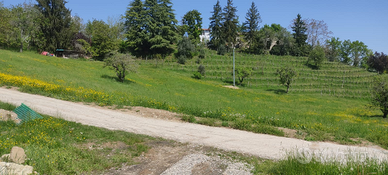 Collaborazione per mantenimento vigna