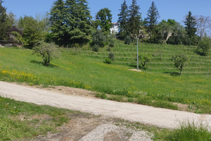 Collaborazione per mantenimento vigna