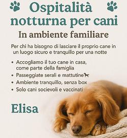 Stallo notturno Cani