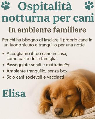 Stallo notturno Cani