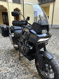 Harley Davidson Pan America