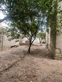 Casa indipendente con cortile