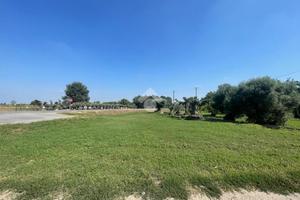 TER. AGRICOLO A QUINZANO D'OGLIO