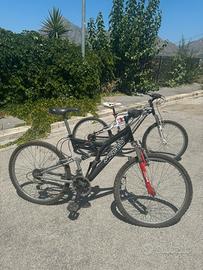 N.2 Biciclette