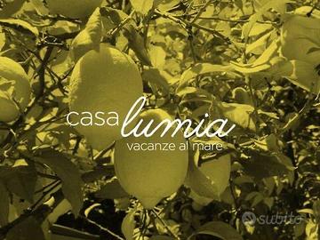 Casa Lumia