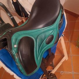 Sella endurance pioneer