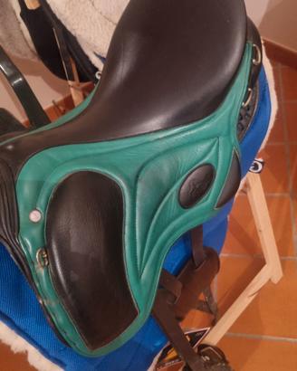 Sella endurance pioneer