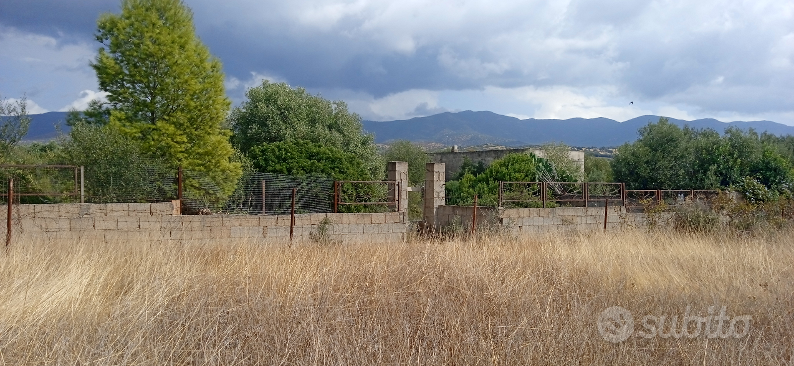 Terreno agricolo recintato - Vista 3