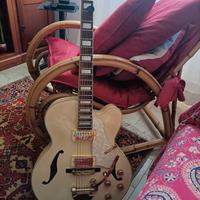 Chitarra jazz Ibanez AF75TDG