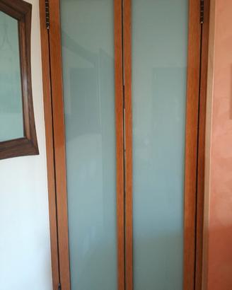 Porta in alluminio tipo saloon o a vento