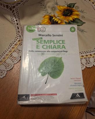 in forma semplice e chiara vol A, B, Quaderno