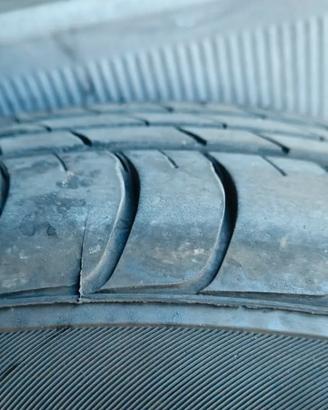 Gomme estive