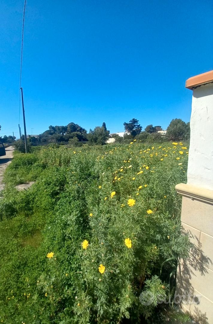 SAN PIETRO IN BEVAGNA Terreno 500mt dal mare - Vista 3