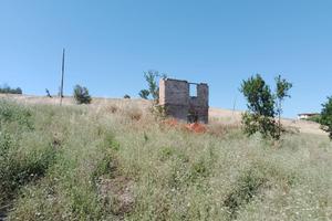 Terreno Agricolo - Sant'Omero