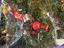 Immagine 2