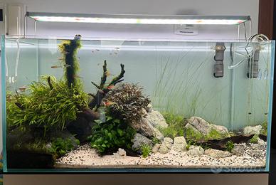 Acquario ada 90p