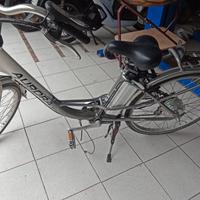 Bicicletta Aurora Elettra