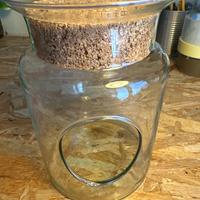 vaso in vetri per piante