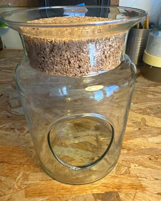 vaso in vetri per piante