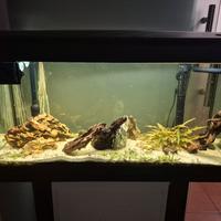 acquari da 100 e 120 litri completi