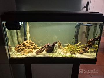 acquari da 100 e 120 litri completi