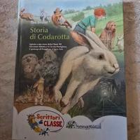 libro storia di codarotta 