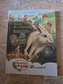 libro storia di codarotta 