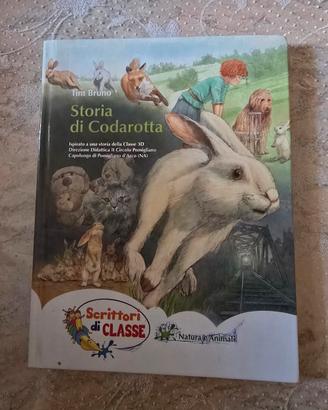 libro storia di codarotta 