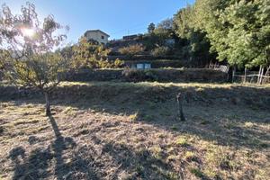 Terreno agricolo carrabile a sestri levante - 2.10