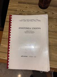Anatomia Umana Castano, Edi-Ermes, Milano 1989