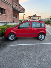 Panda a metano