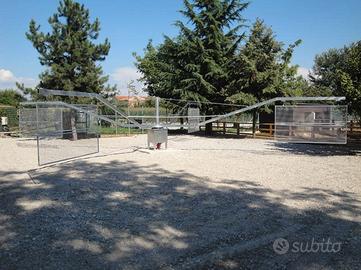 Giostra per cavalli