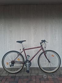 mountain bike