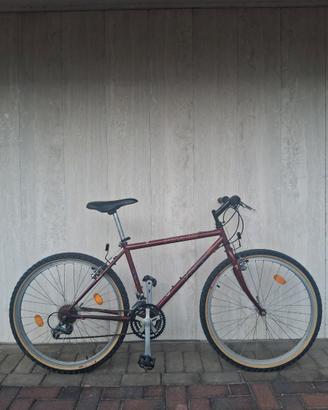 mountain bike