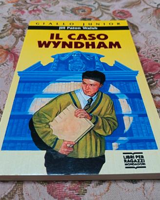  Il caso Wyndham