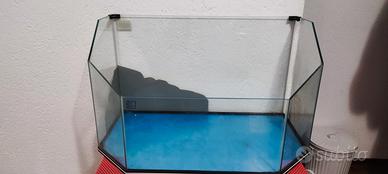acquario 