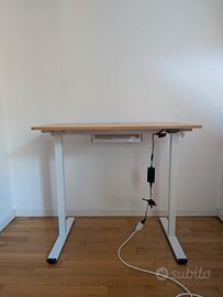 Scrivania Regolabile Elettrica FLEXISPOT 100x60