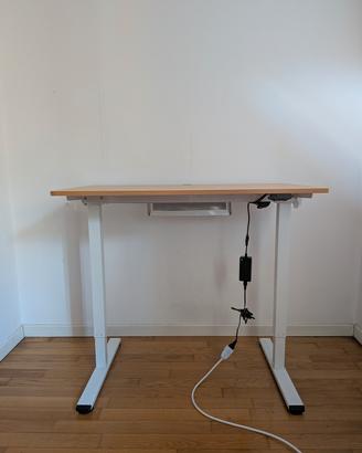 Scrivania Regolabile Elettrica FLEXISPOT 100x60