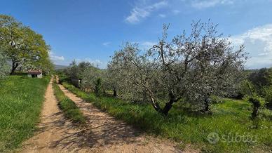 Terreno di 3300 m² a Piglio