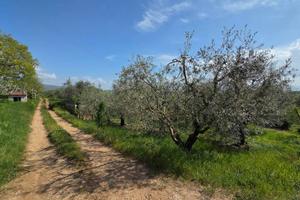 Terreno di 3300 m² a Piglio