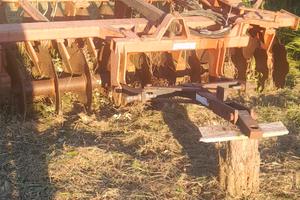 morgano frangizzolle