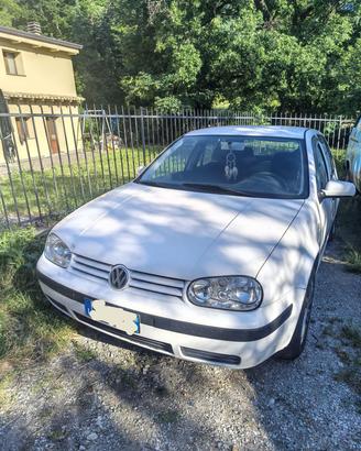 golf 4 motion