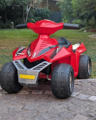 Quad Feber