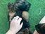 Immagine 2