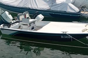 Boston Whaler 15-Barca Usata