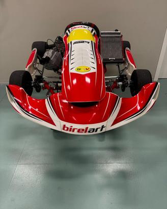 Go kart 125cc Birel TM r2