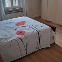 Camera a Castel San Giovanni Piacenza