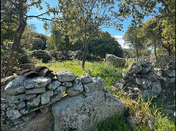 Lotto terreno agricolo