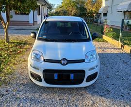 Fiat Panda MildHybrid 1.0 (cc) 69 CV del 2021