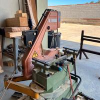 Sega dario sagomatrice